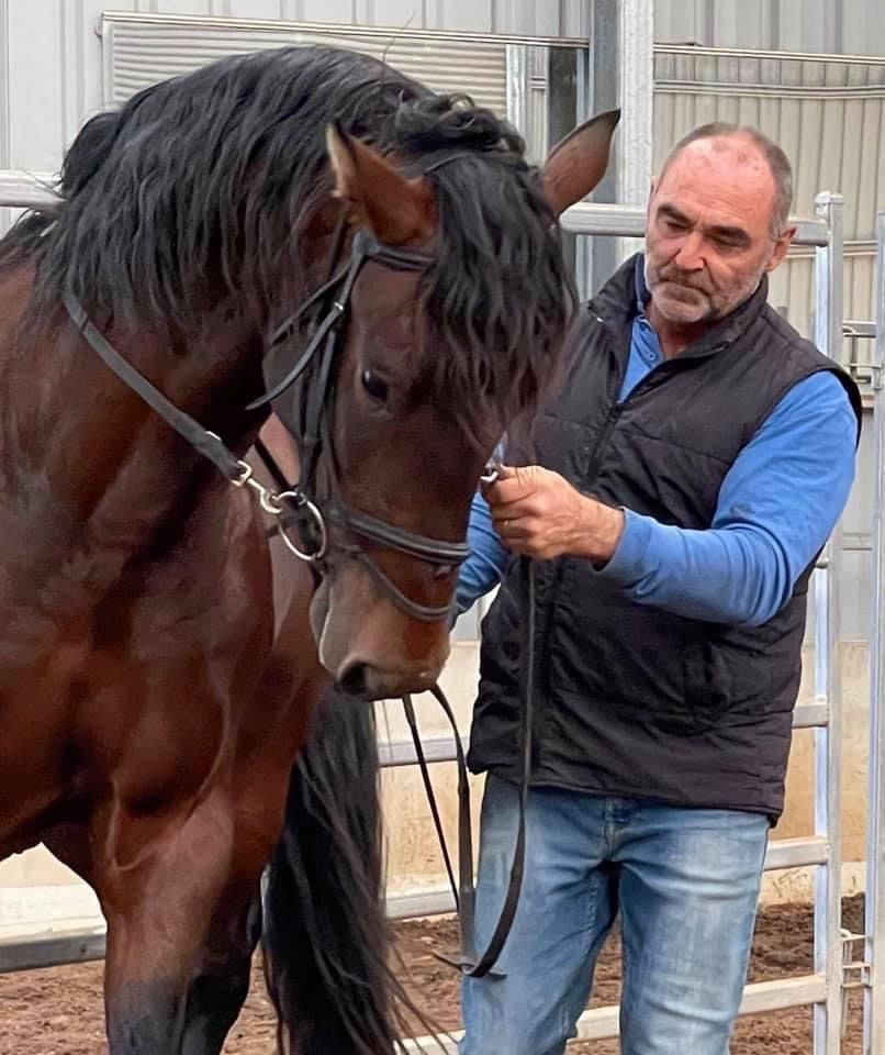 The Healing post image