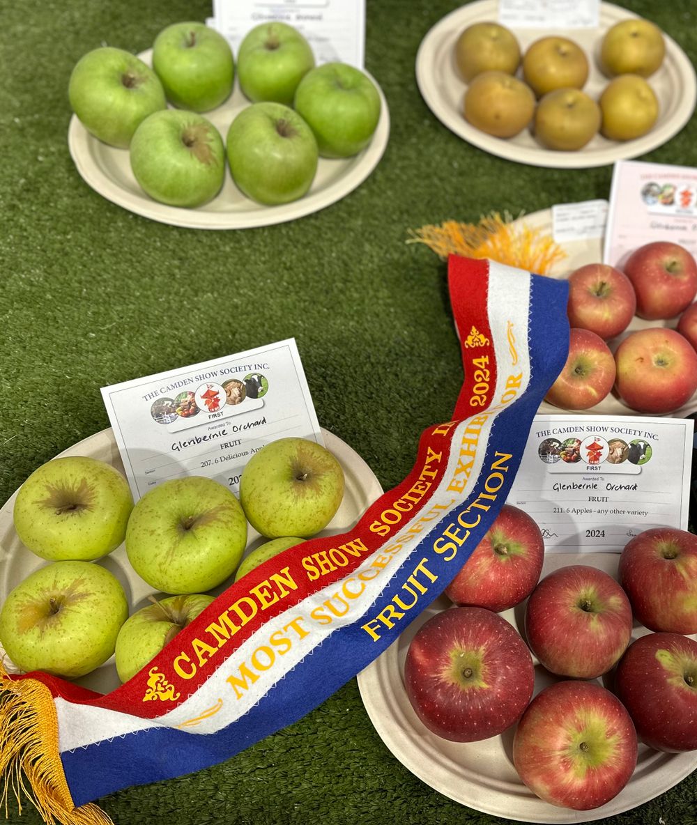 Best Fruit in Show: Darkes Glenbernie Orchard wins at Camden post image