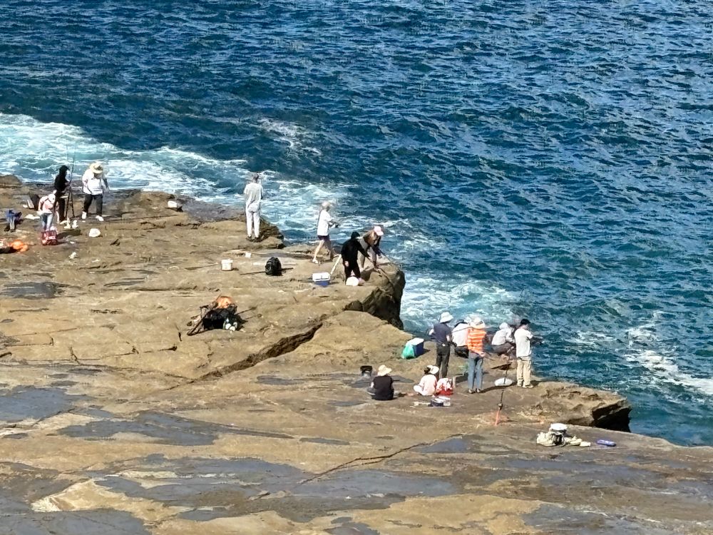 Dr Rip's Science of the Surf: The danger of rock platforms post image