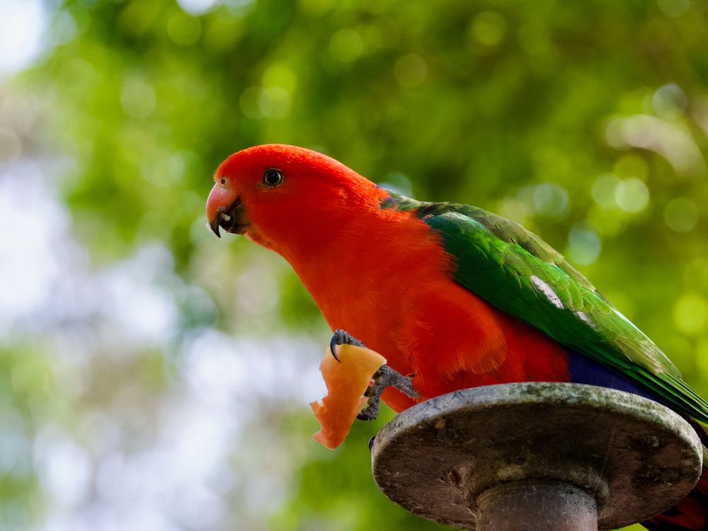 In praise of the micro-adventure post image