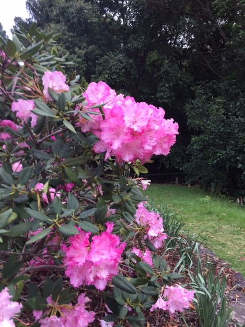 Needed: 'Help in paradise' post image