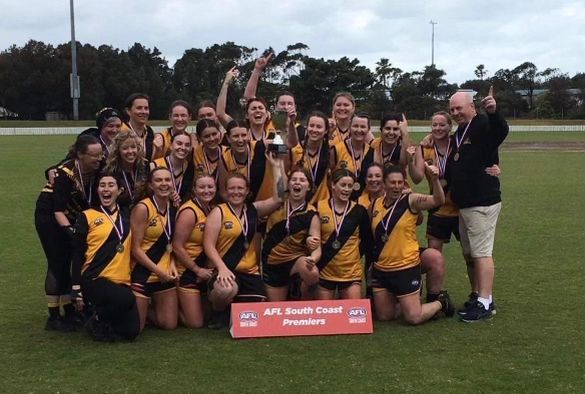 Tigers Triumph at Grand Final post image
