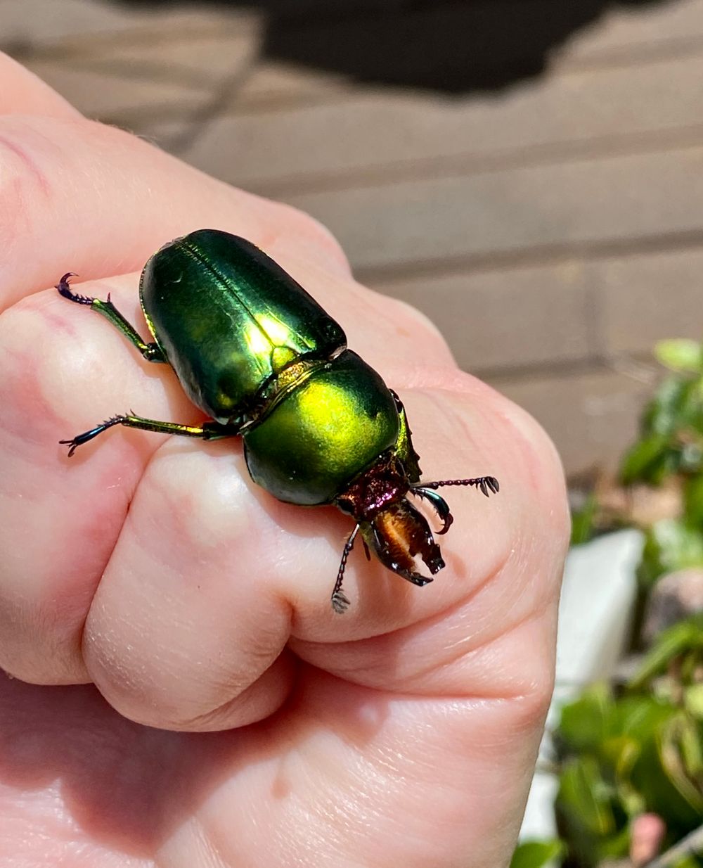 Welcome to a new year of science and nature, post image