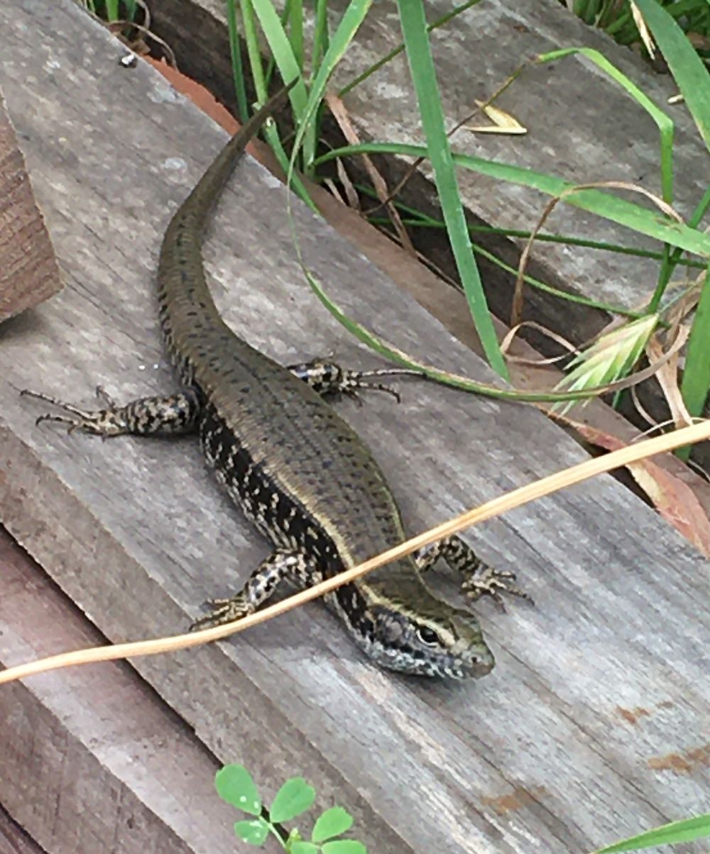 Got the wobbles? post image