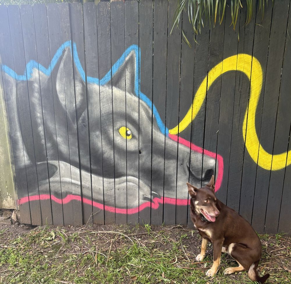 Bulli street artist brings style to the suburbs post image