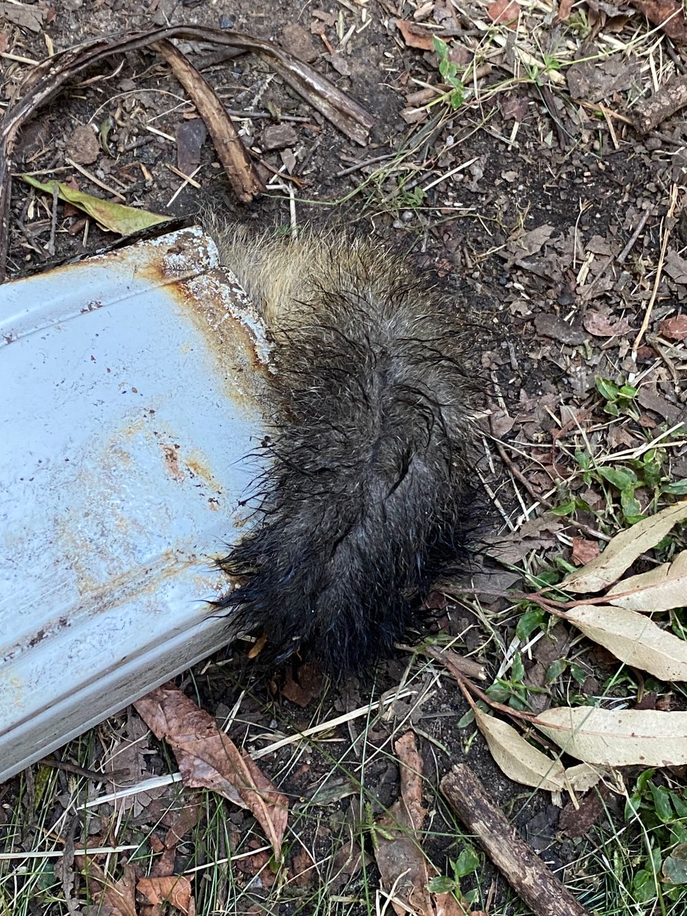 What on earth Wednesday: Things that go bump in the night post image