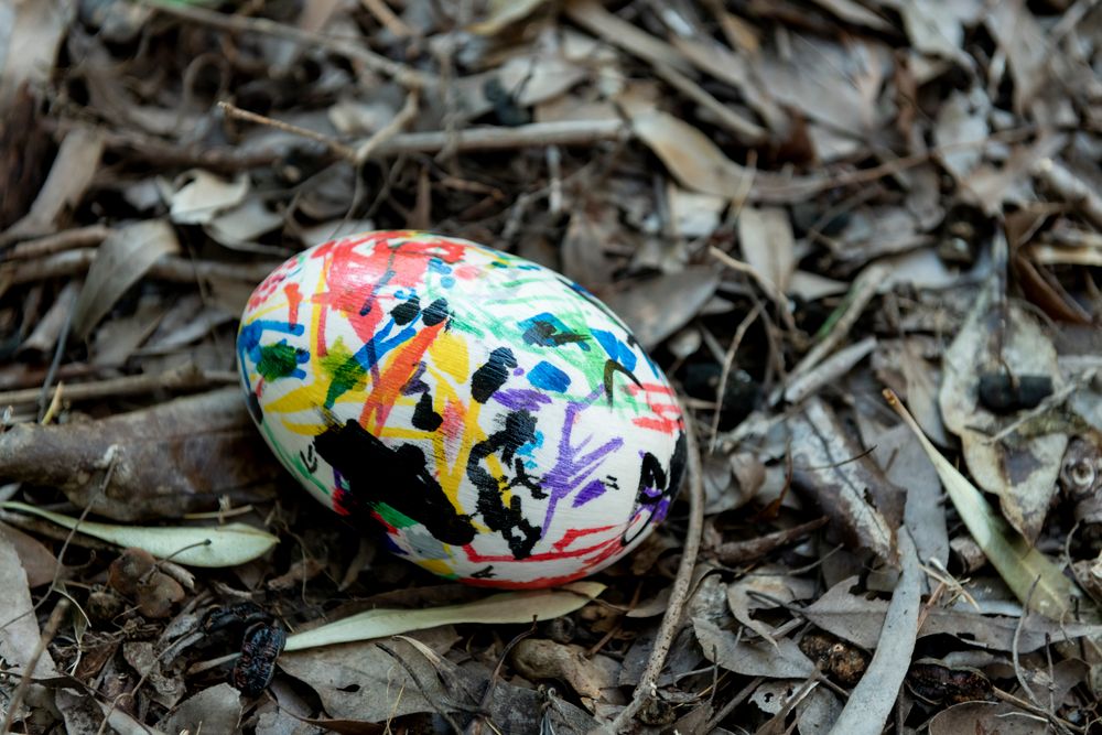 3 Bush Walks for Tiny Legs post image