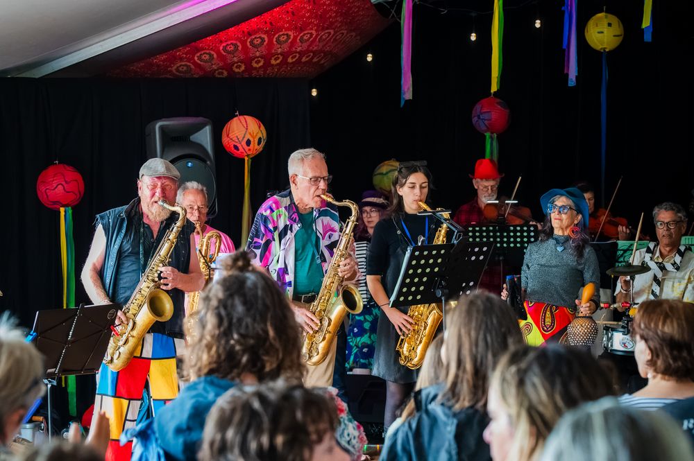 Illawarra Folk Festival goers praise 'beautiful' family-friendly event post image