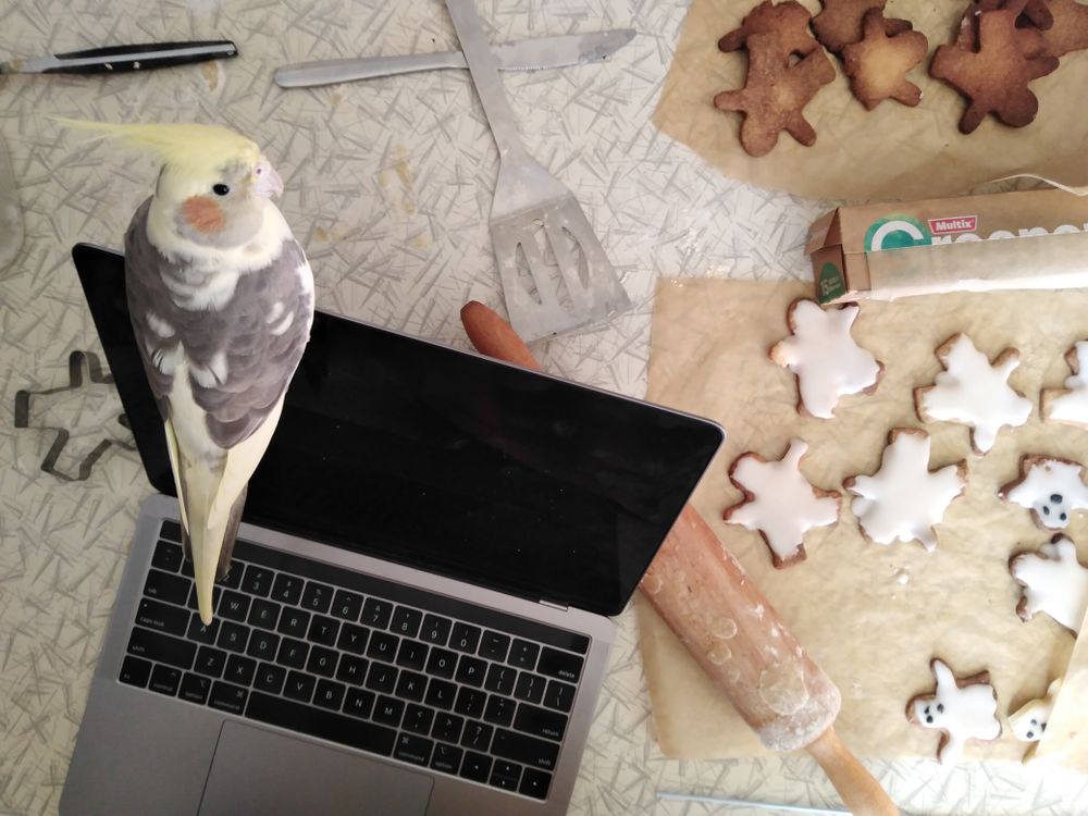 A letter from the editors post image