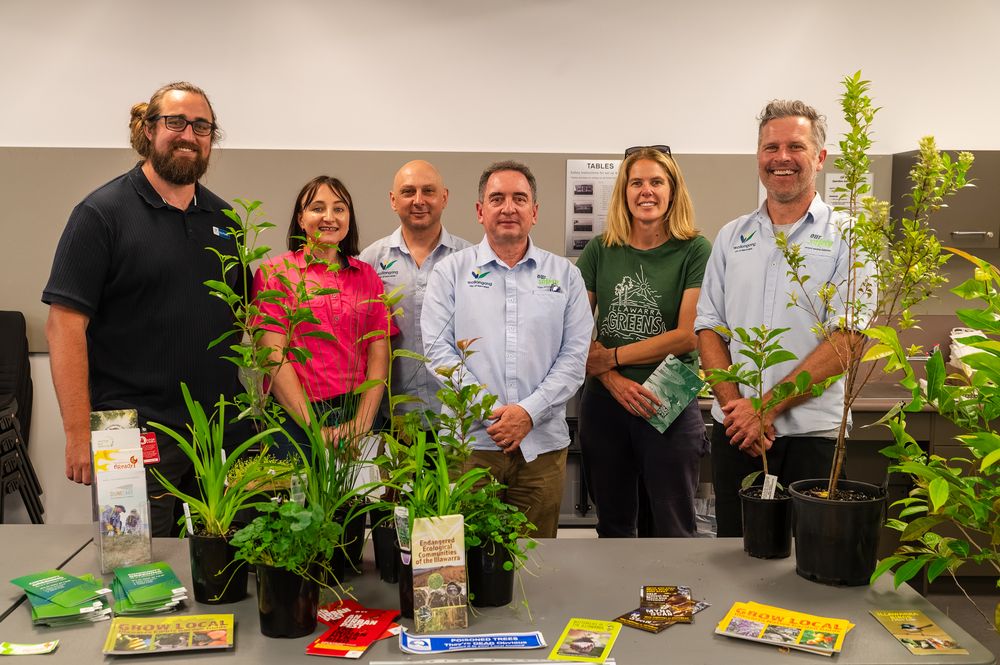 Creek Care: Council grows awareness of how plants help reduce flooding impacts post image