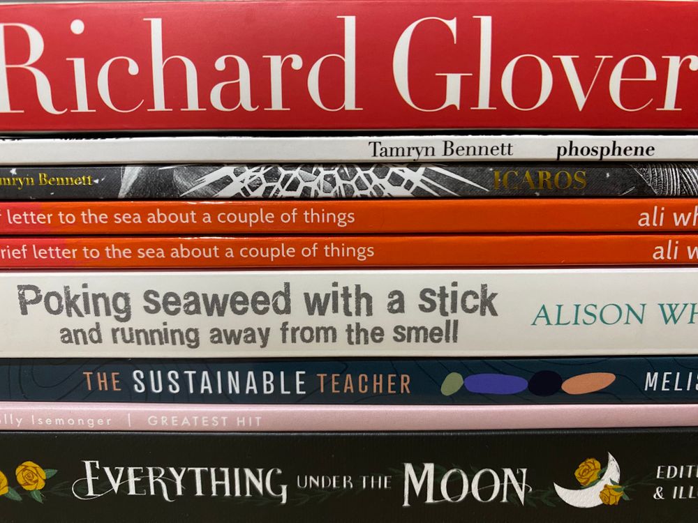 Talking books in November with Collins Thirroul post image