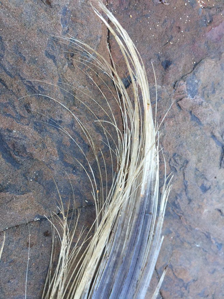 What on Earth Wednesday's back! post image