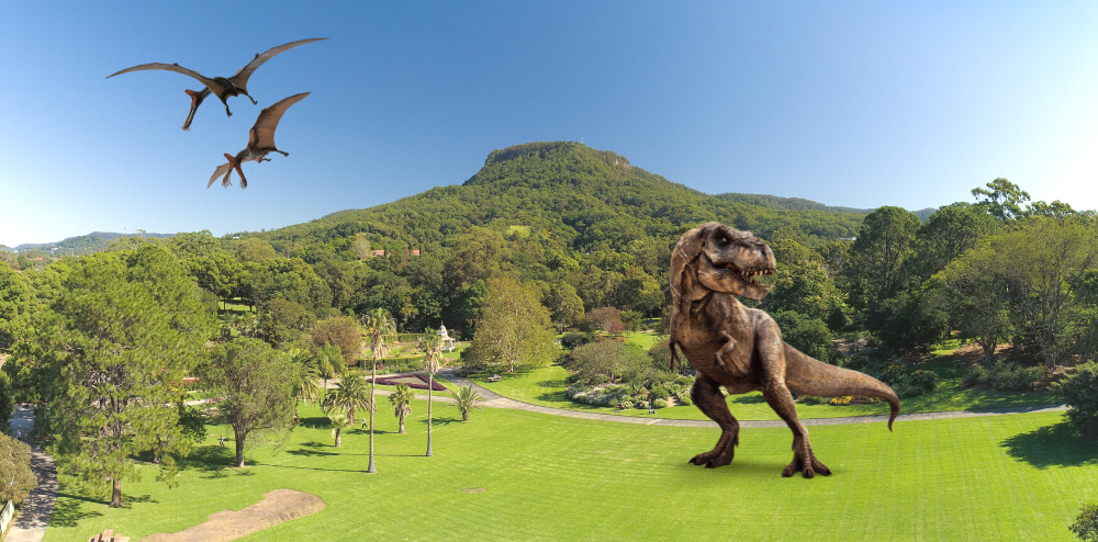 “Roar-some” Jurassic-era cycads find new home in Wollongong post image