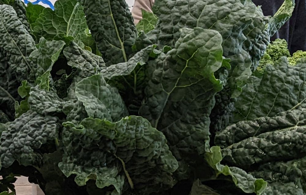 Let’s talk about leafy greens post image