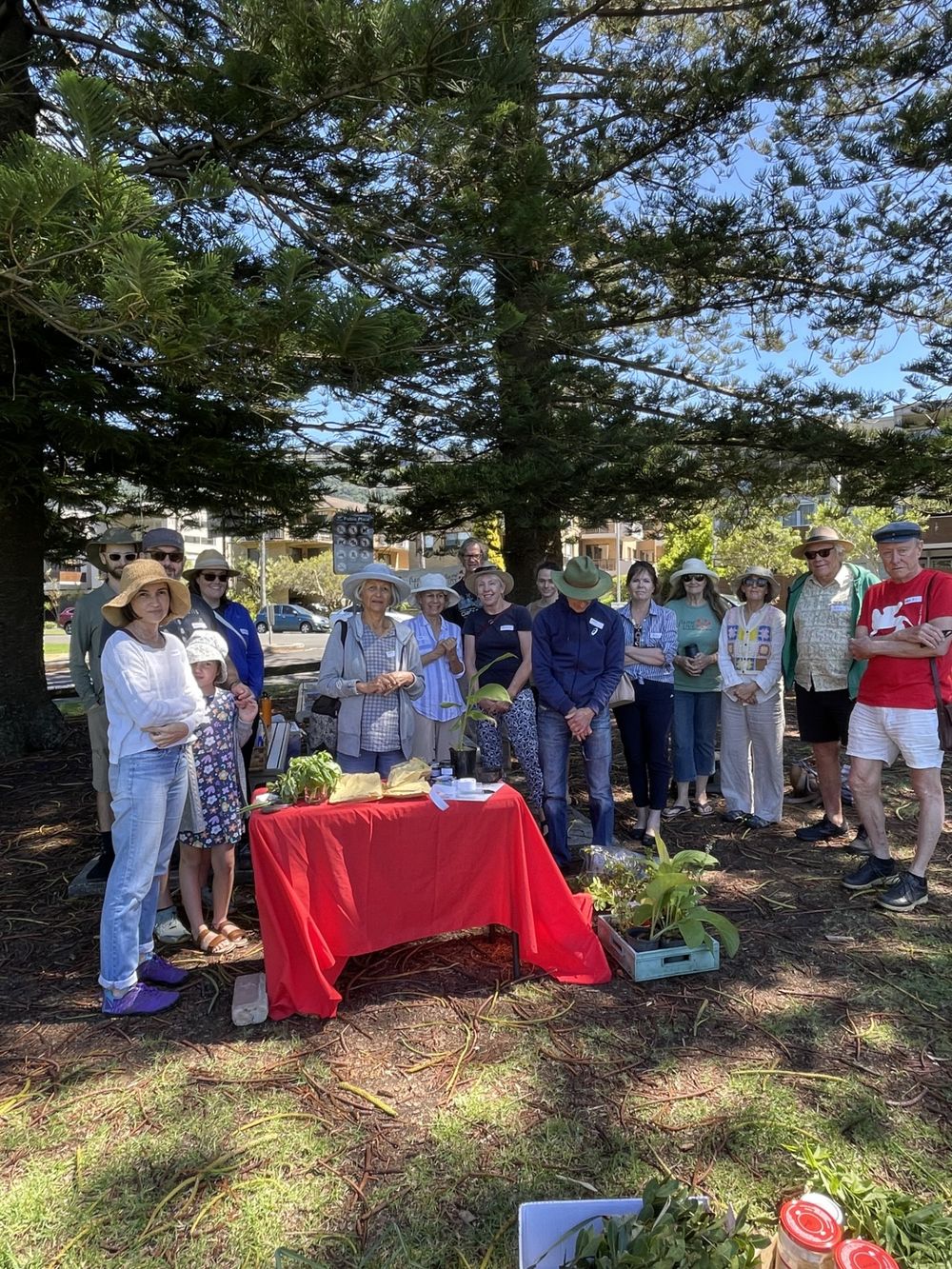Thirroul Co-op volunteers share their passion post image