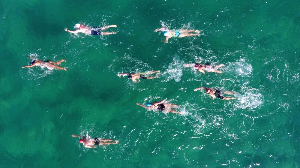 Join Coalcliff's new ocean swim club post image