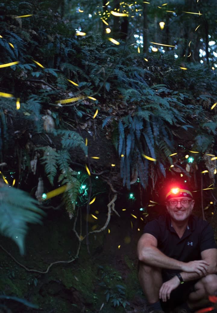 The world, it glows, with David Finlay post image