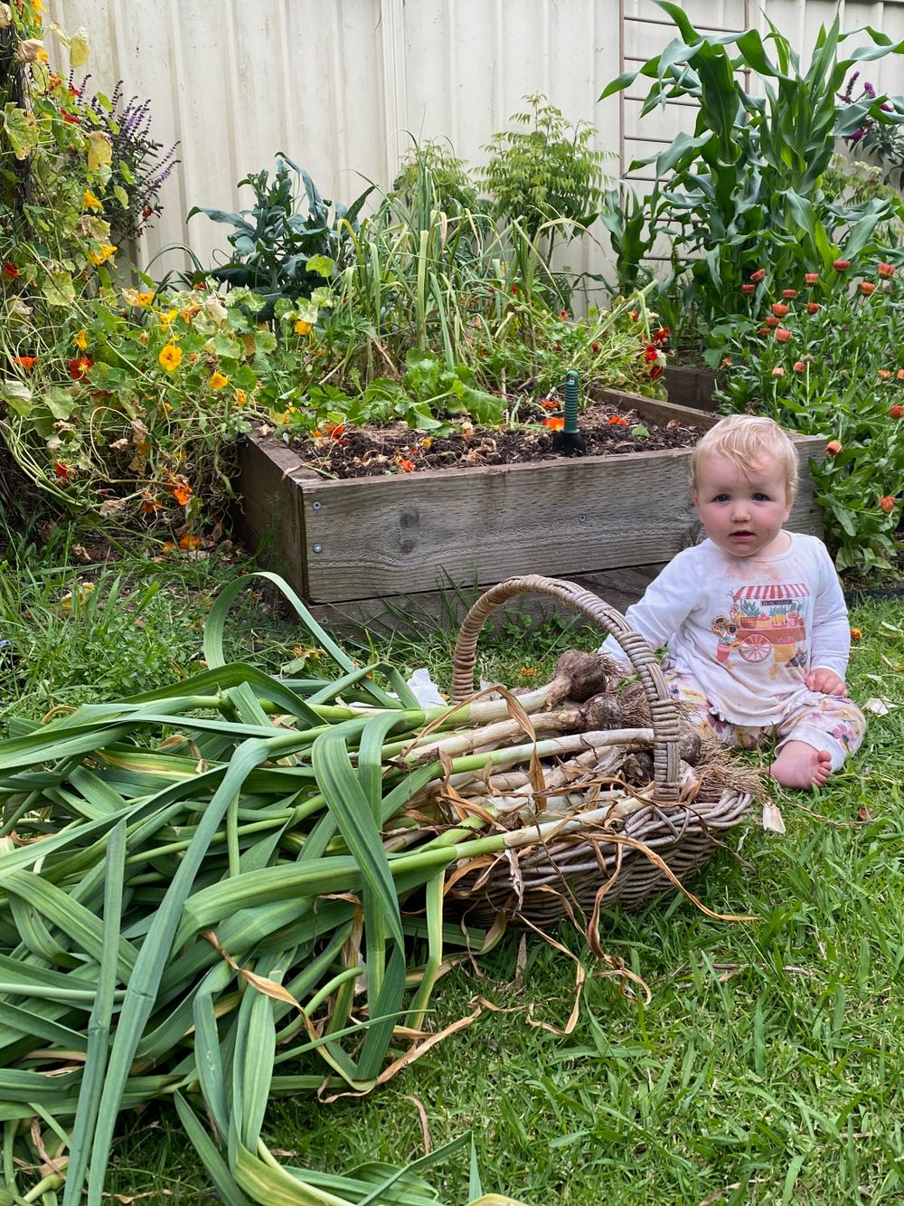 Growing with our gardens: how caring for children and plants teaches us the art of surrender post image