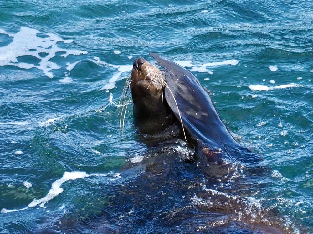 Nature Notes: Friday 20th May post image