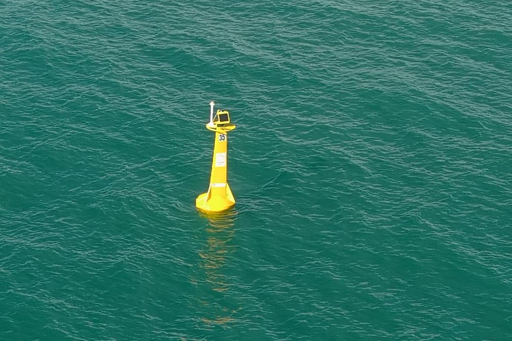 Hello (big) Fish post image