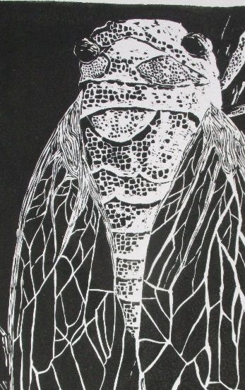 Bulli High exhibits Art Academy work post image