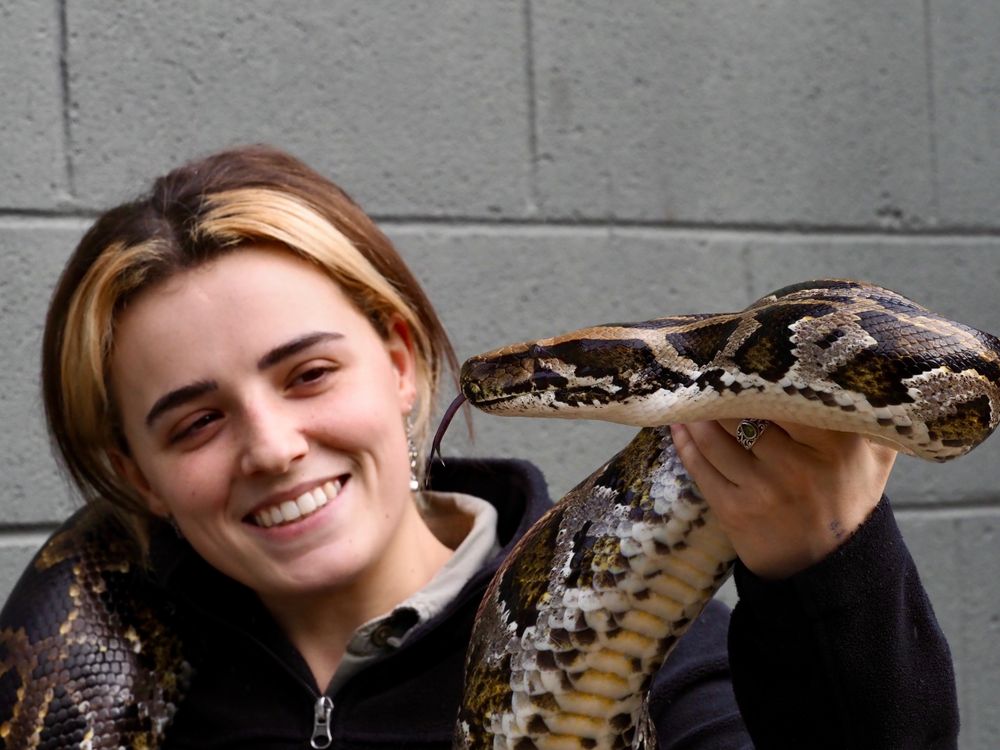 Meet a Keeper: Amber Harrison post image