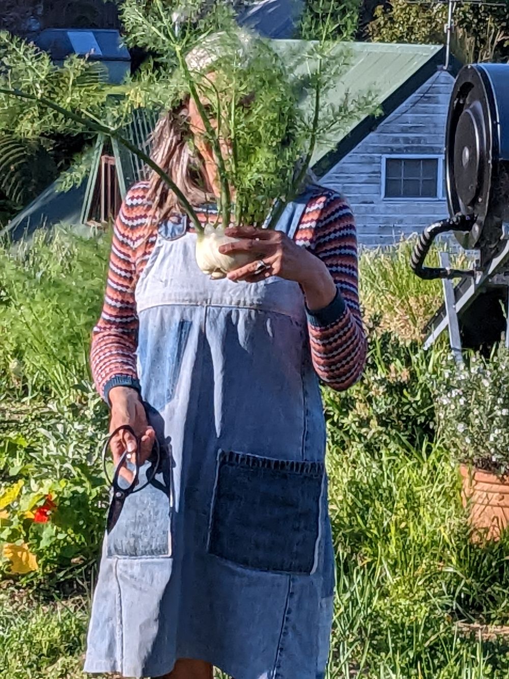 Going global with food systems post image