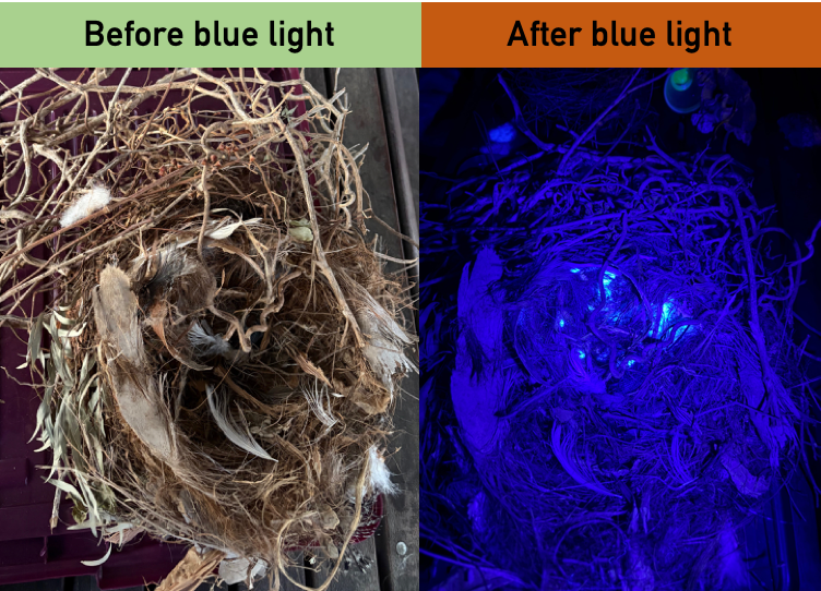 Shining a blue light on plastic post image