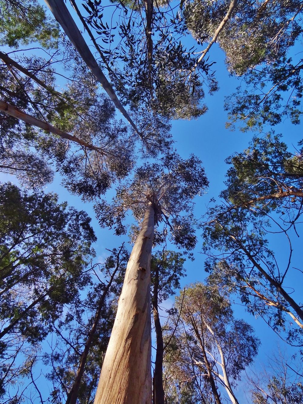 What a ‘code red for humanity’ means for our climate post image