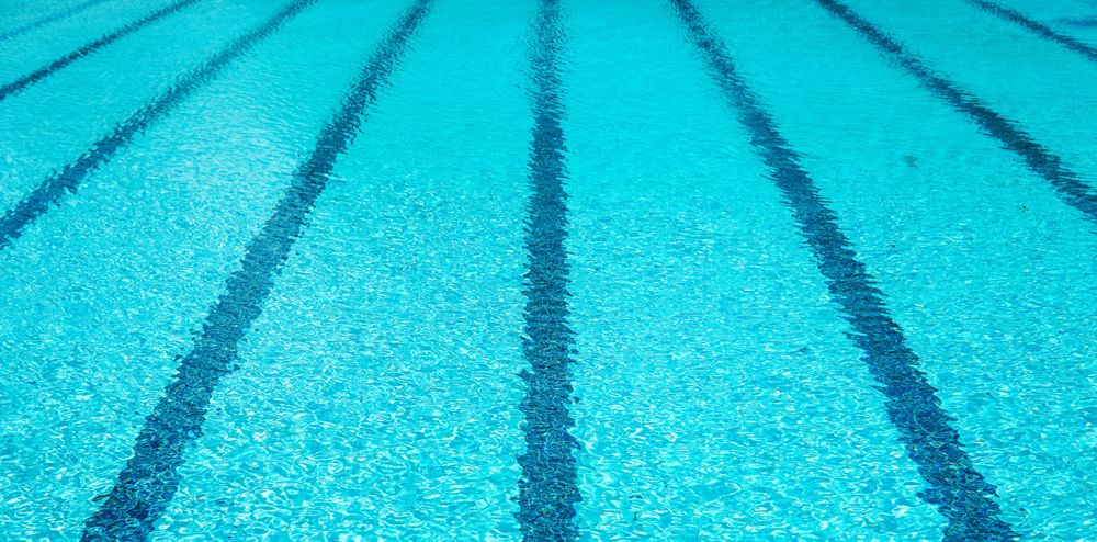 Council's Community Update: 3 August 2022 post image