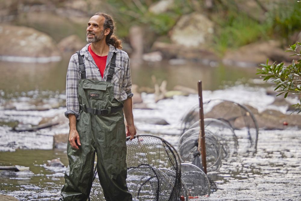 Scientists celebrate magic of first puggle born in Royal National Park post image