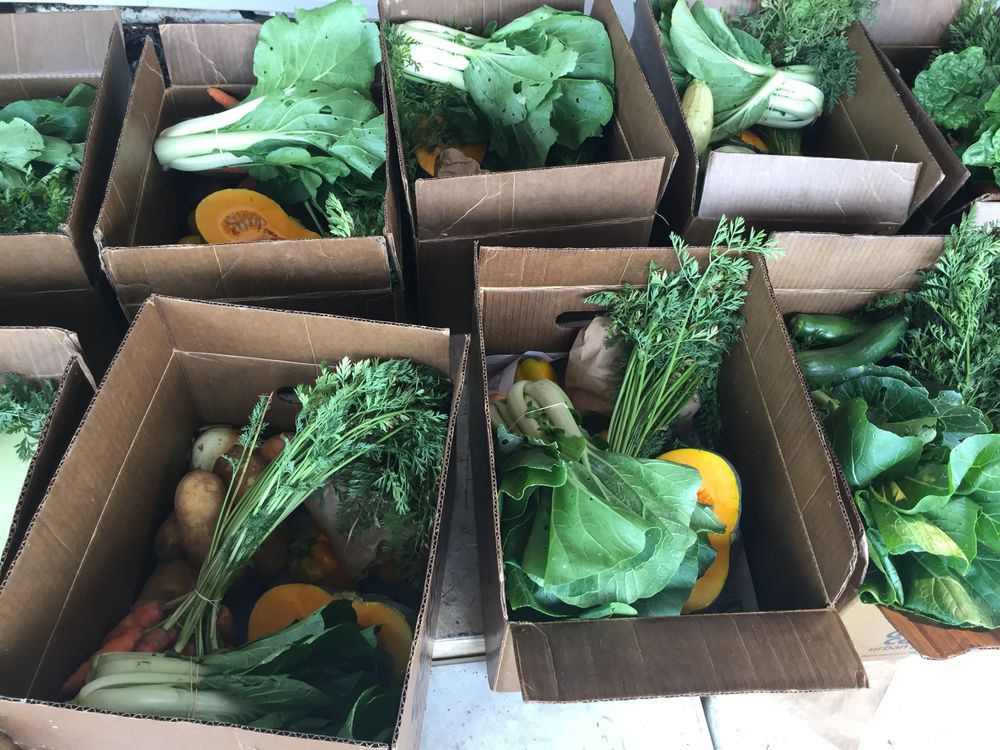 Green Connect recognised as global leader in sustainable development post image