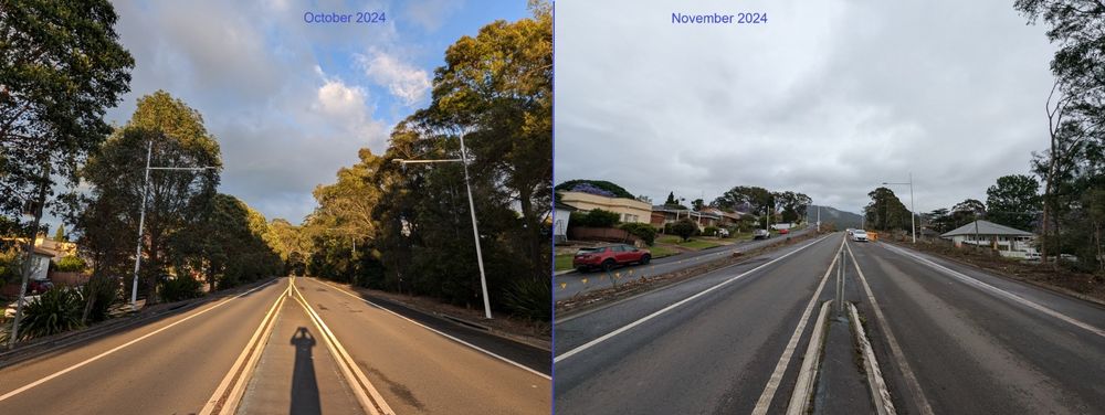 Mt Ousley residents campaign to Save Our Trees post image