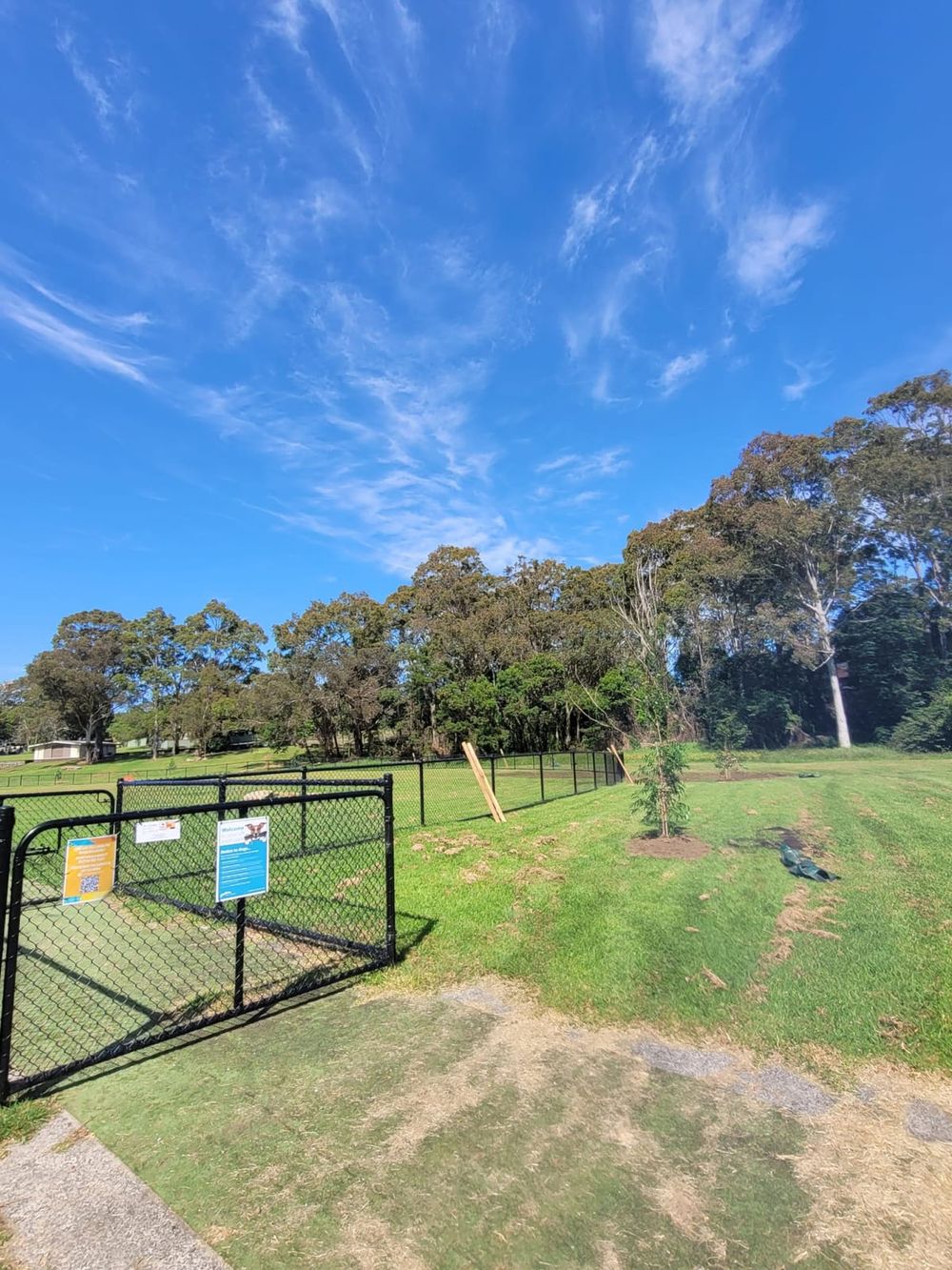 Top 3 Parks with Off-Leash Dog Areas post image