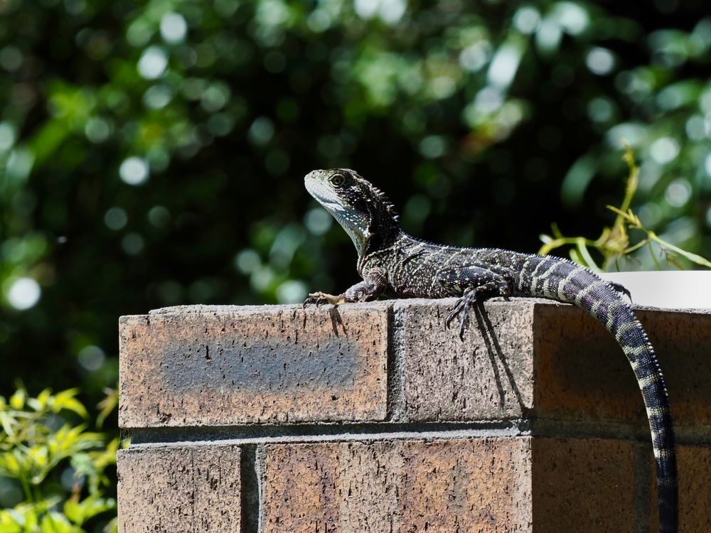 Welcome to Wednesday post image