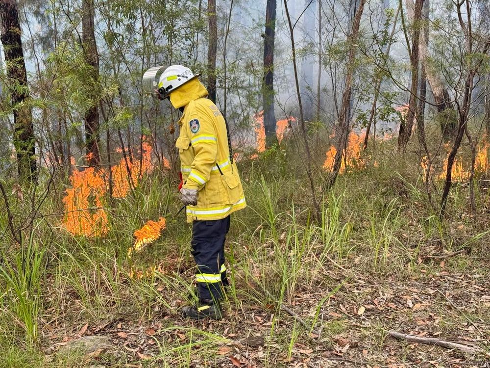 A cure for insomnia: Reviewing the draft Illawarra Bush Fire Risk Management Plan post image