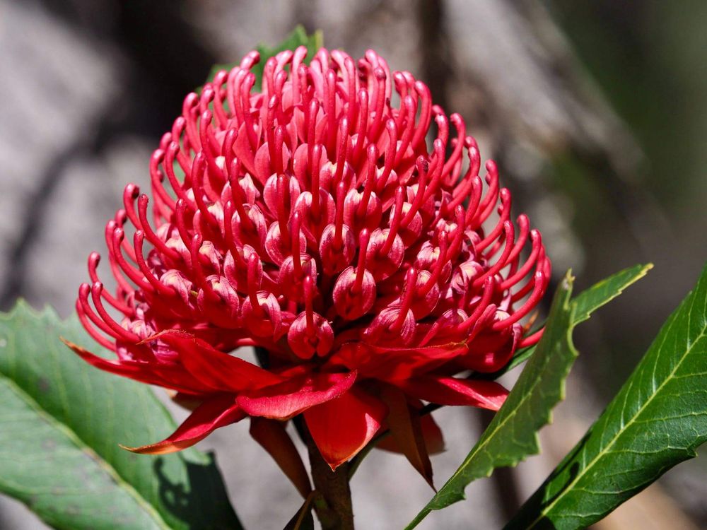 Hello, wild Wednesday readers post image