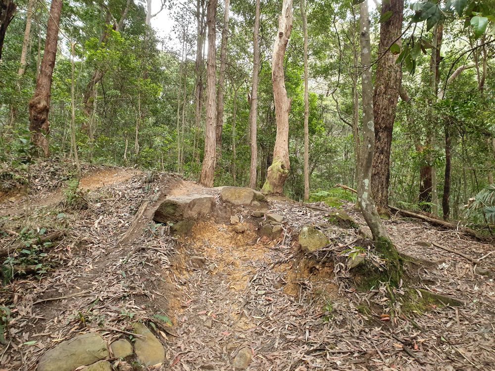 Mountain bikers, please stop! post image
