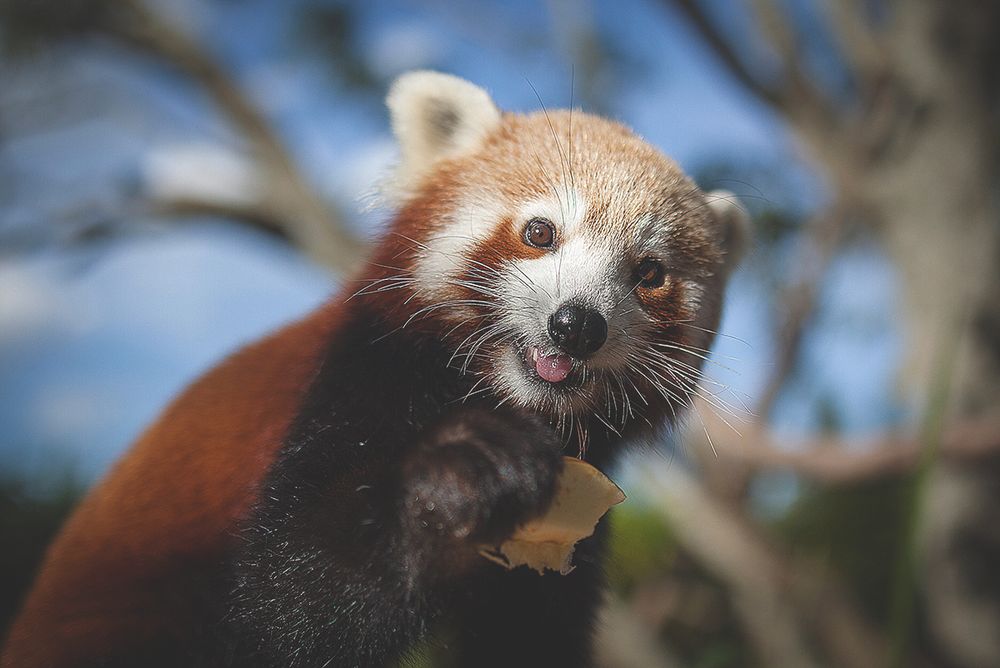 Pay it forward with Symbio post image