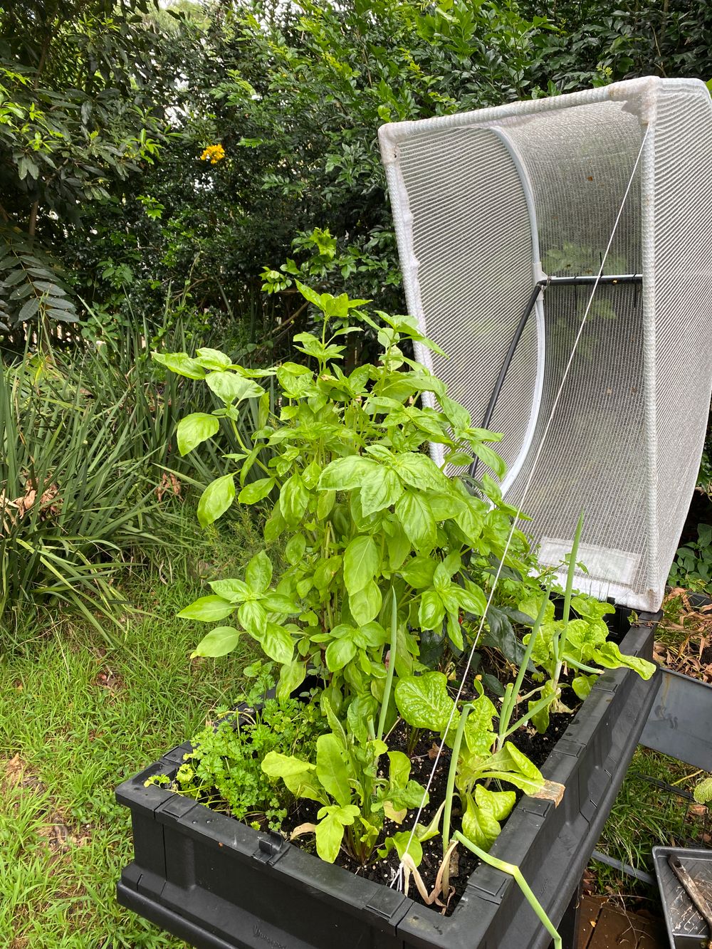 The science is in: gardening is good for your mental health and overall satisfaction post image