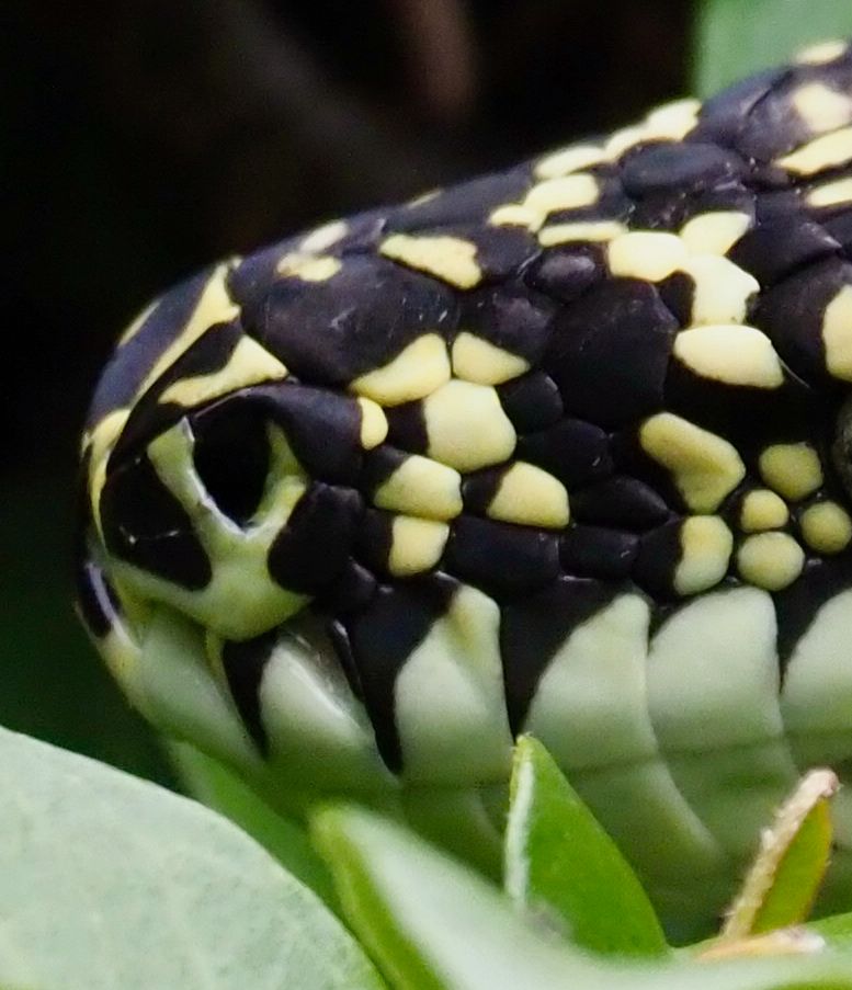 'While you are sleeping, I move through the night' post image