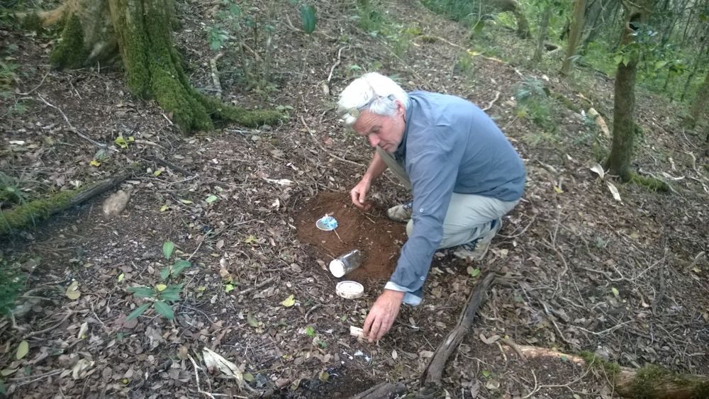 Beetling About: 'With 4kg of frozen fresh roo poo in a fridge' post image