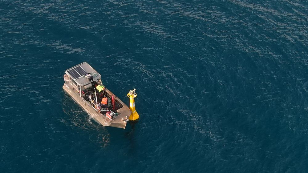 Hello Fish: A year of shark data post image