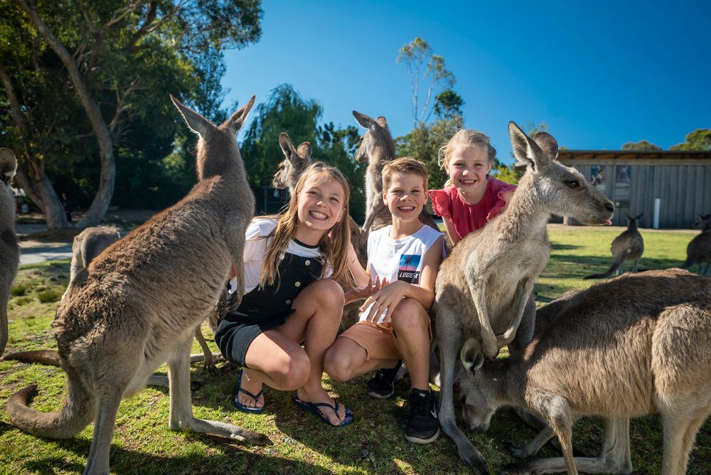 Hello, Monday readers post image