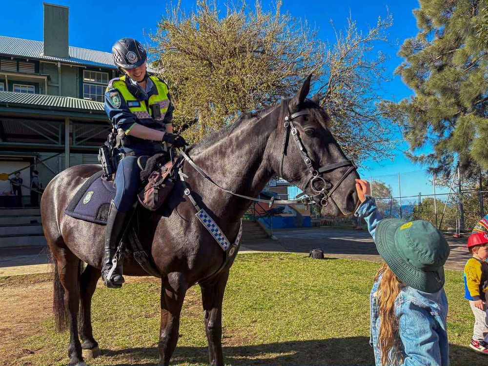 Dream job dress-ups, speeches and a visit from the Mounties inspire Scarborough students post image