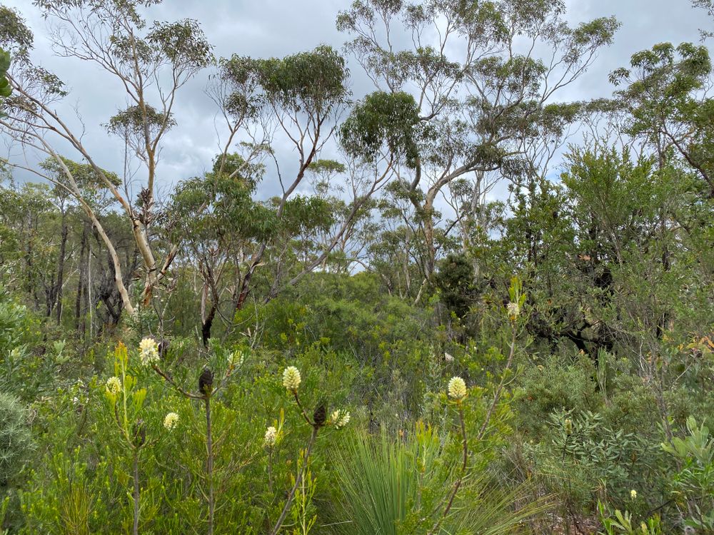 From shinrin-yoku to friluftsliv: How I’m finding myself again, outdoors post image