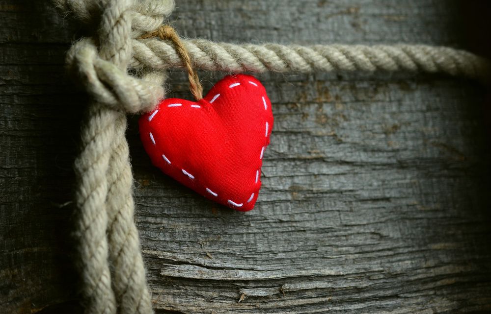 Red Feb: Heart Disease Month post image