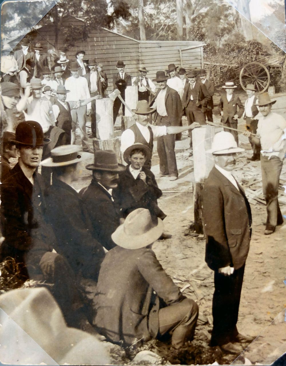 Timber Rolled Out and Money Rolled In post image