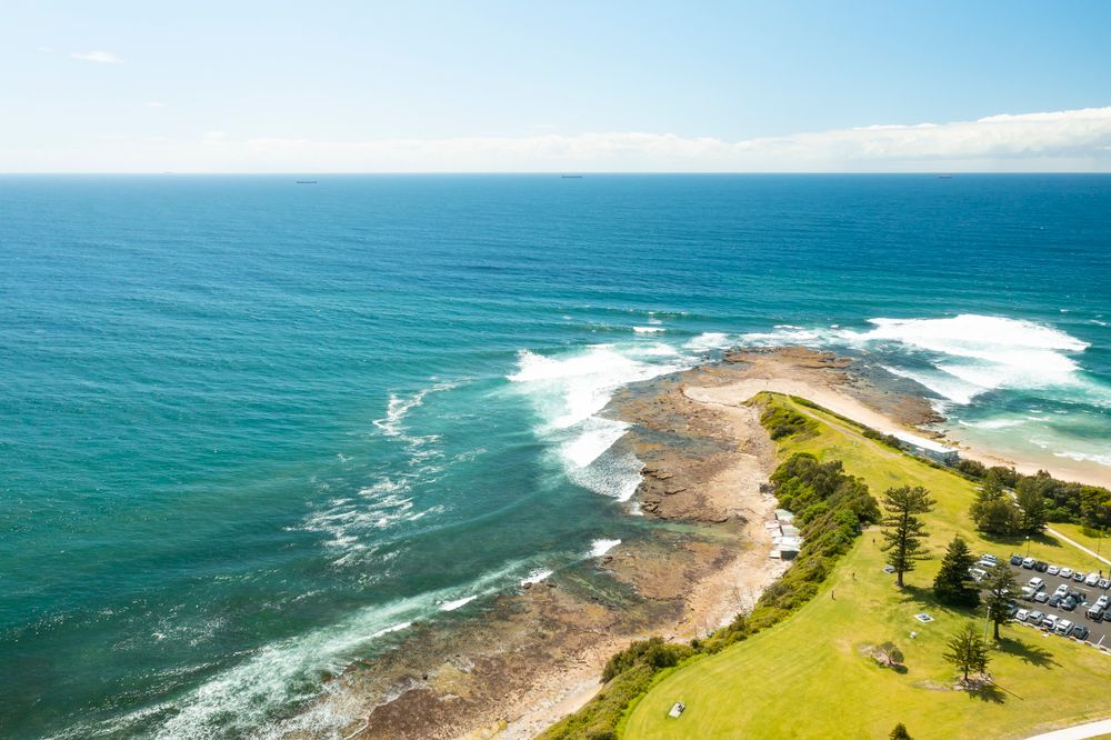 Tides Are Changing: Reasons to celebrate on World Oceans Day post image