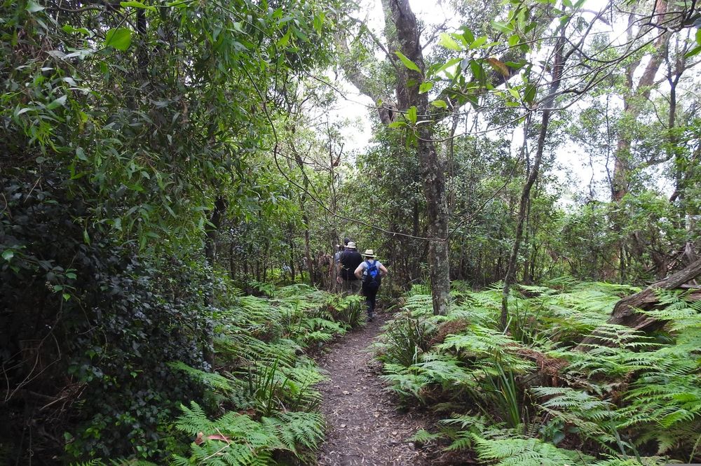 Top 5 Nature Walks post image